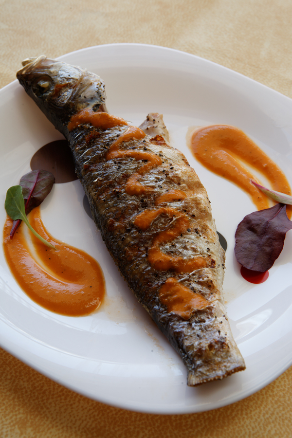 IMG_6306_1-10s_F13-0