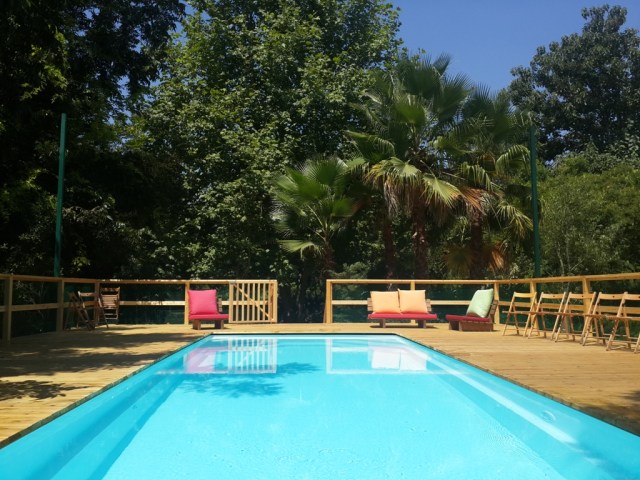 תמונה ראשית