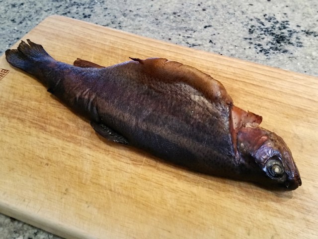 trout3